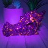Large Yooperlite Dragon Head Carving 790g 2.8x3.3in
