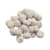 Desert Rose Selenite