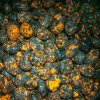 Wholesale: Yooperlite Tumbled Stones