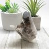 Smoky Quartz Cluster 334g 3.5x2.8in