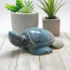 Trolleite Turtle 886g 4.8x1.9in