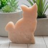 Pink Amethyst Cat 335g 3.7x4.8in