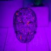 Yooperlite Swirl Skull 490g 2.3×2.8in