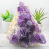 X-Large Extra Quality Amethyst Cluster 4091g 7.5x5in