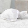 White Plume Druzy Agate Turtle 278g 4.4x1.4in