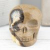 Septarian Skull 116g 1.5x1.5in