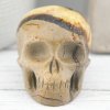 Septarian Skull 91g 1.3x1.4in