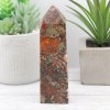 Money Agate Tower 312g 1.5x4in